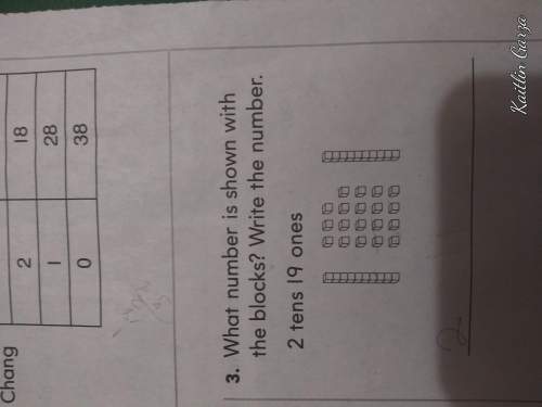 What number is shown with the blocks? write the number 2 tens 19 ones