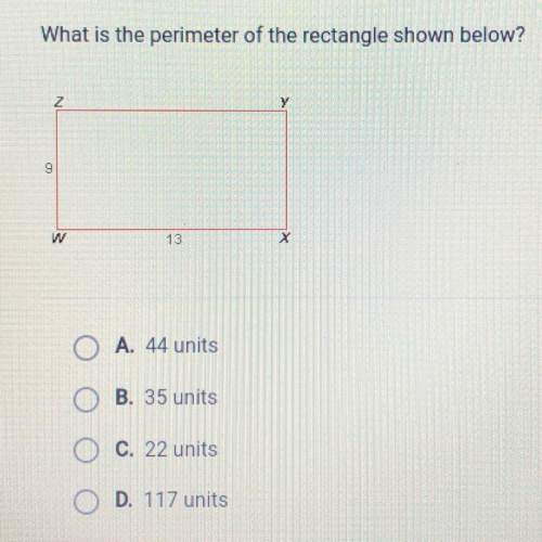 What is the perimeter of the rectangle shown below