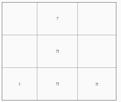 In this punnett square, what is the ratio of homozygous offspring? in the punnett square. what perc