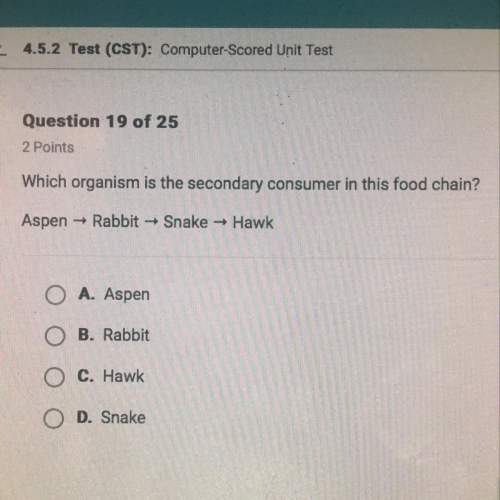 Which organism is the secondary consumer in this food chain