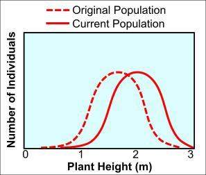 Adifferent population of sorghum plants was introduced to a region where turkeys lived. turkeys pref