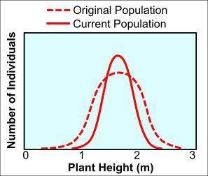 Adifferent population of sorghum plants was introduced to a region where turkeys lived. turkeys pref