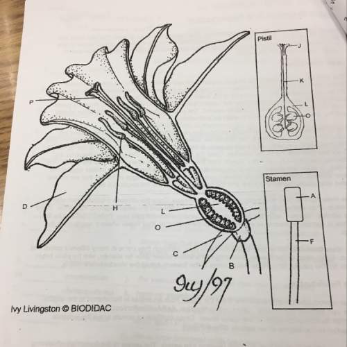 Flower diagram  need !  this is a study guide that i need for the test and i’m freaking