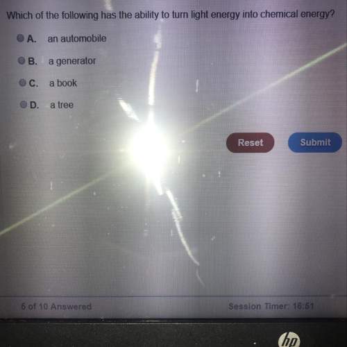 Which of the following has the ability to turn light energy into chemical energy.