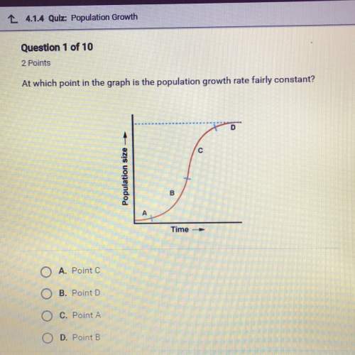 At which point in the graph is the population growth rate fairly constant?