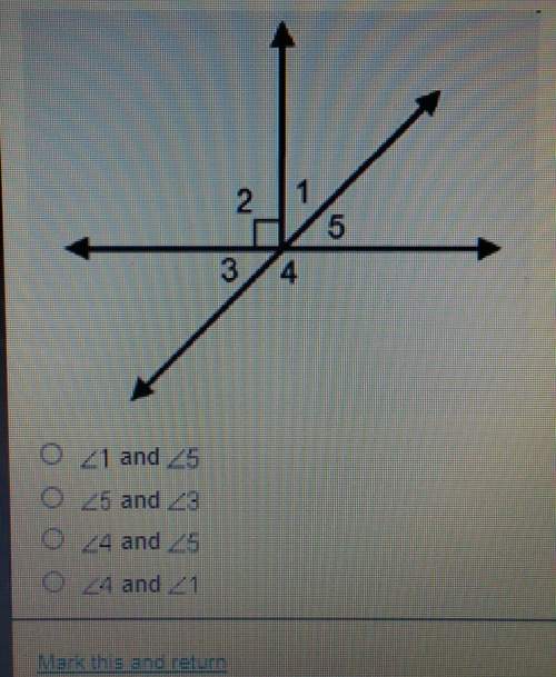 Which pair of angles must be supplementary?