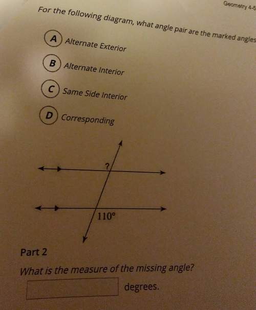 What angle pair are the marked angles