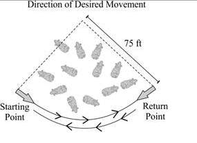 The figure below shows the ideal pattern of movement of a herd of cattle, with the arrows showing th