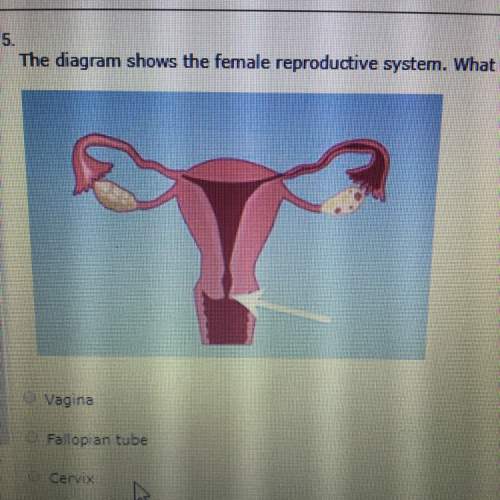 Hurry im taking timed test the diagram below shows the female reproductive system. what