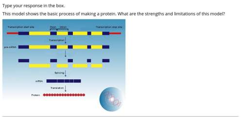 this model shows the basic process of making a protein. what are the strengths and limi