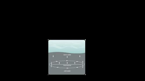 Which of the following diagram correctly showa the of deep water currents in the ocean?