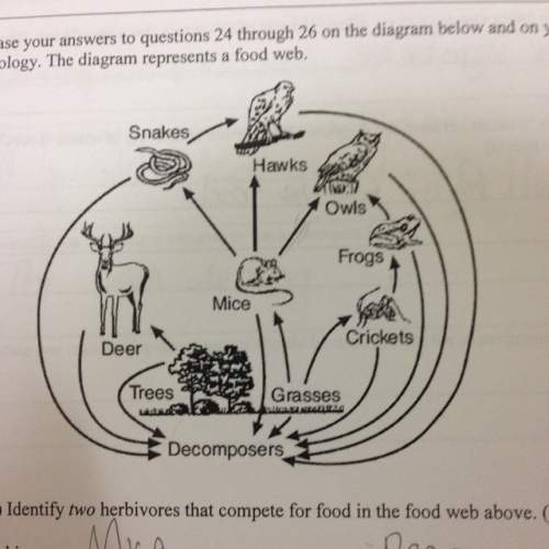 State a role of decomposers in this food web.
