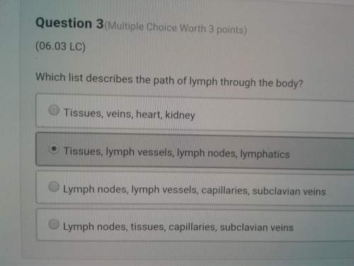Which list describes the path of lymph through the body?