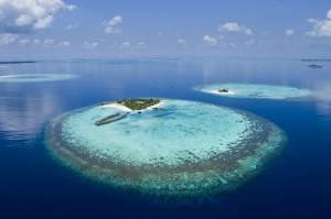 The landmass above would be classified as a a.) high islandb.) atollc.) superconti