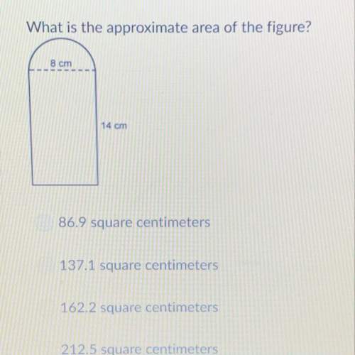 What is the approximate area of the figure