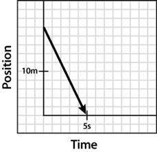 Construct a position-time graph that shows the forward progress of sunny the dog in a straight line
