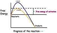 In the graph to the right it shows the activation energy needed in a reaction. assuming that both li