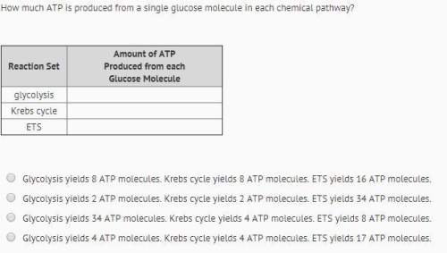 How much atp is produced from a single glucose molecule in each chemical pathway?  a. gl