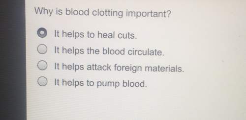 Why is blood clotting importanto it to heal cuts.it the blood circulateo it attack foreign materi