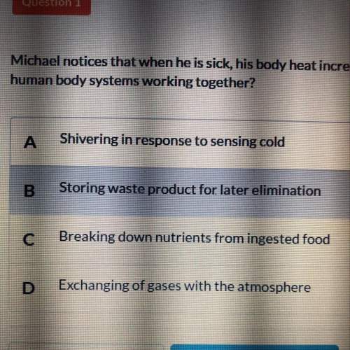 Michael notices that when he’s sick his body heat increases he wonders what other body systems inter