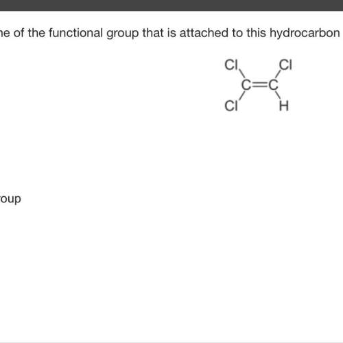 What is the name of the functional group that is attached to this hydrocarbon backbone?