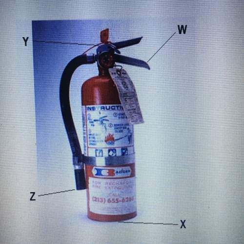 Which part of fire extinguisher should be pointed at a fires source  a) w  b) x c)