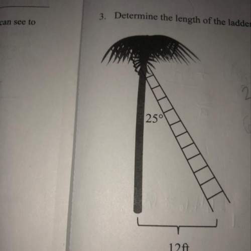 Determine the length of the ladder and the height of the tree