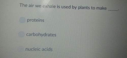 The air we exhale is used by plants to