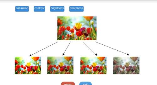 Drag each label to the correct image.adrian is working on an image manipulation so