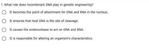 What role does recombination dna play in genetic engineering?