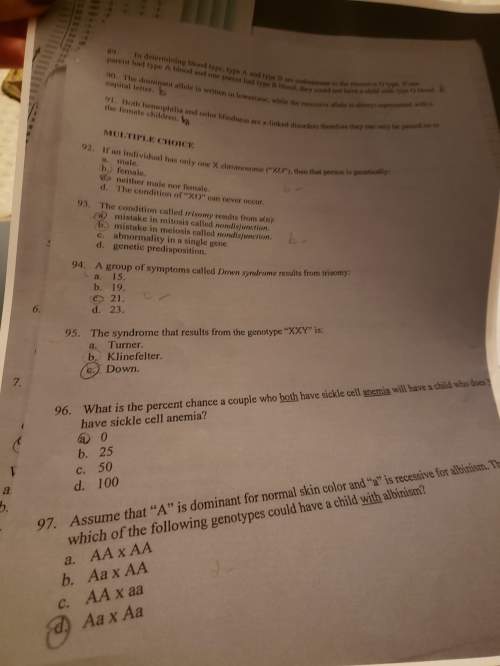 Can someone let me know if this answer are correct.