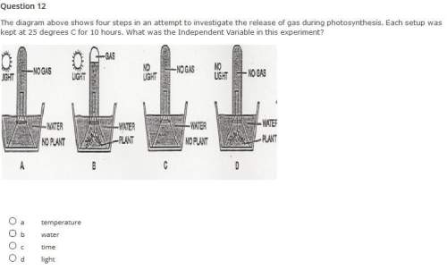 The diagram above shows four steps in an attempt to investigate the release of gas during photosynth