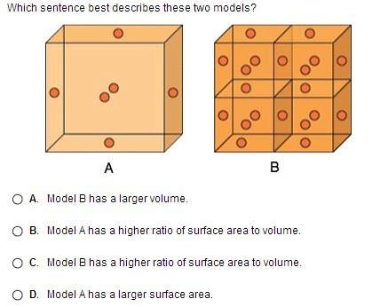 (picture below.) which sentence best describes these two models?  a. model b has a