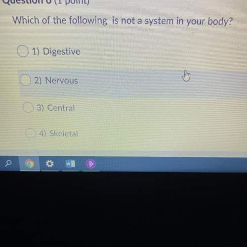 Which of the following is not a system in your body?