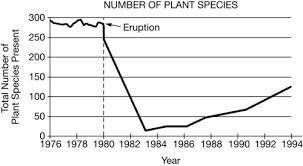 Based on the data shown in the graph, when would the species richness of the ecosystem have been the