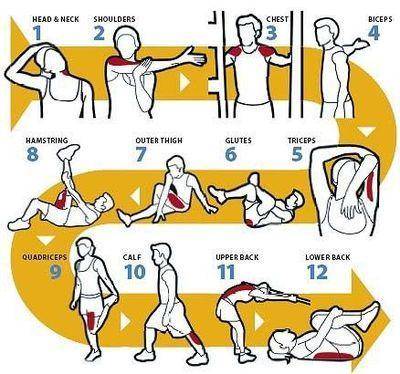 1. Explain a stretching routine for your work environment. As you consider your routine, keep in min