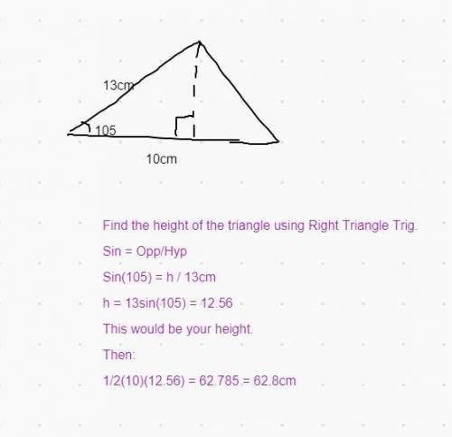 Work out the area of the triangle.

Give your answer correct to 1 decimal place.
105°
13 cm
10 cm