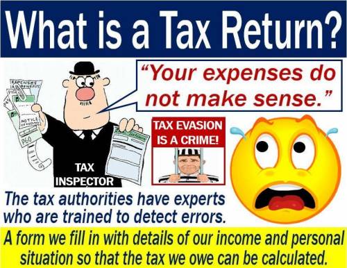 When you fill out your income tax form, don't put in any jokes or wisecracks. That is called filing