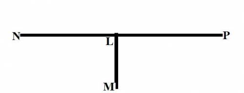 LM is a perpendicular bisector of NP The length of LN is 12w +7, and the length of LP is 15w 5. What