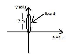 What are the horizontal and vertical components of a lizard’s displacement if it has climbed 7m dire