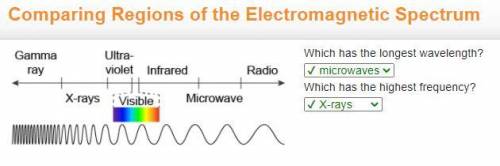 Which has the longest wavelength?
Which has the highest frequency?