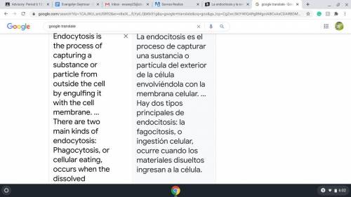 La endocitosis y la exocitosis son tipos​