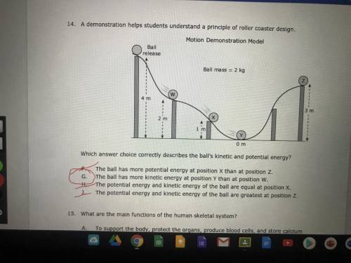 Which answer choice correctly describes the ball's kinetic and potential energy? Group of answer cho
