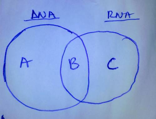 Venn diagram that compares DNA and RnA