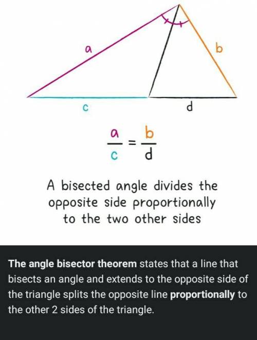 Which best describe an angle biscector