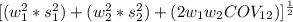 [(w_{1}^{2}*s_{1}^{2})+(w_{2}^{2}*s_{2}^{2})+(2w_{1} w_{2}COV_{12} )]^{\frac{1}{2}}