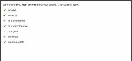 BRAINLIST OPPORTUNITY

where are you MOST likely to find infectious agents? Check ALL that apply!!
i