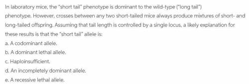 in lab micr the short tail phenotype is fominant to wild long assuming tail length is controlled by