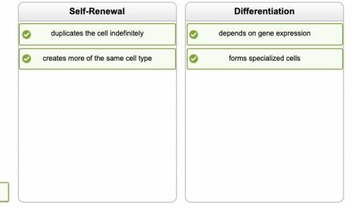 Drag each tile to the appropriate category.

depends on gene expression
Self-Renewal
Differentiation