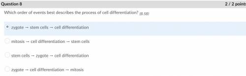 Which order of events best describes the process of cell differentiation?

a.) zygote > stem cell